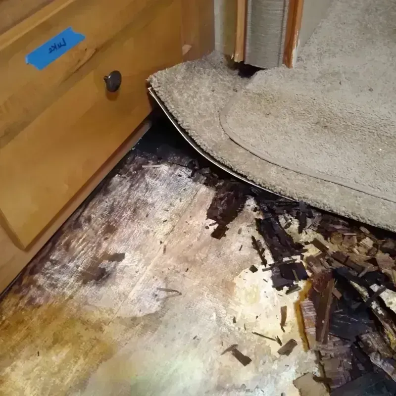 Wood Floor Water Damage in Baldwin City, KS